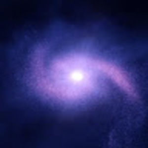 Meet your Posher, Rhiannon